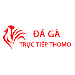 Đá Gà Trực Tiếp Thomo Hôm Nay