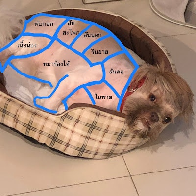 Mullika ann Boonyasrirat