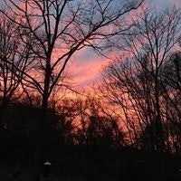 Doreen McPartland Voigt