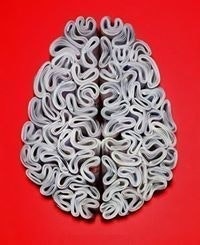 Владимир Глухота