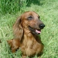 Марина Кучер