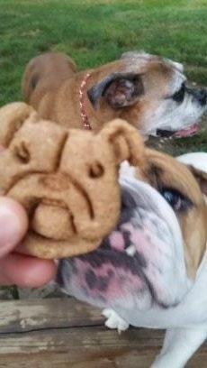 NY Metro 3D Printing