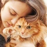 Public Loss Adjusters