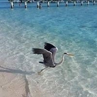 Татьяна Сто