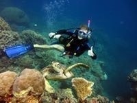 Lasse Andrè Pettersen