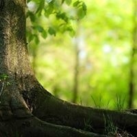 Юрий Волков