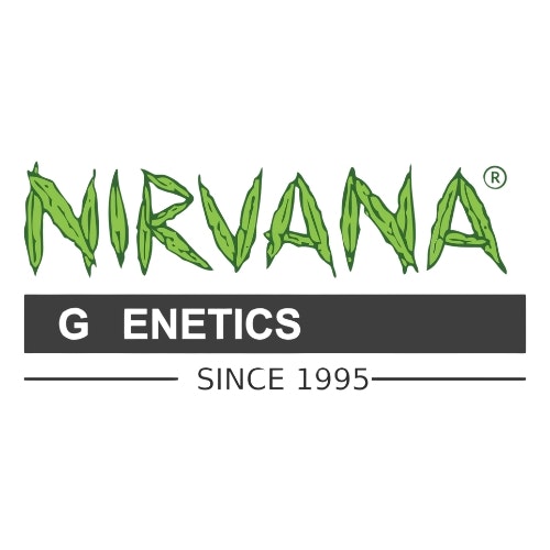 Nirvana Shop