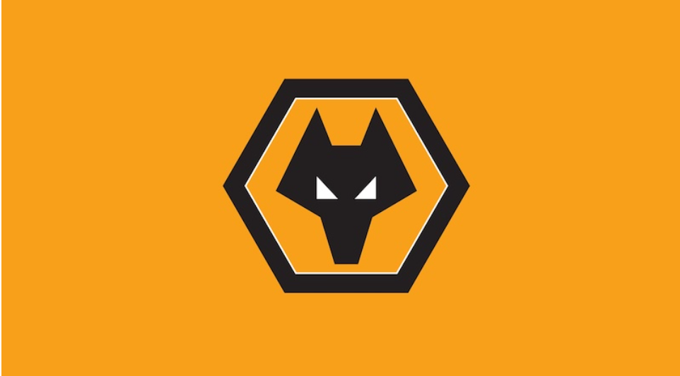 Wolves FC VN