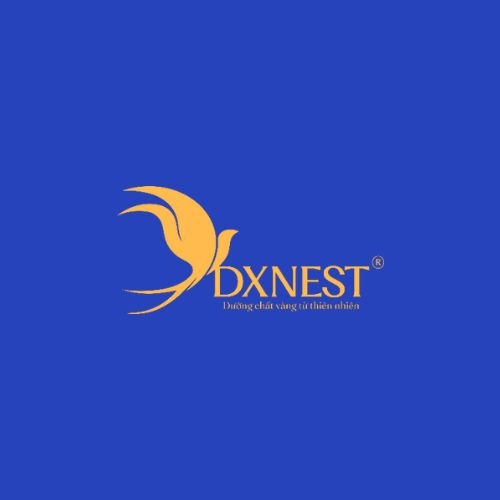 Yến Sào DXNEST