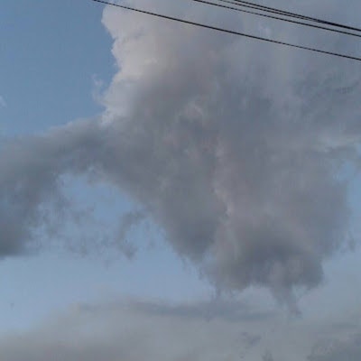 Alba Llorens García