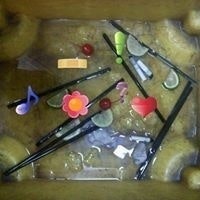 Bryan Edward Collins