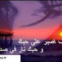 شوقى الديباوى