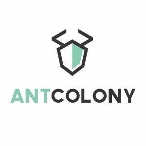 Ant colony