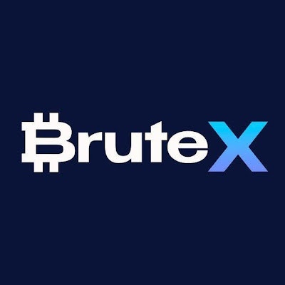 BruteX