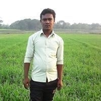 Md Saiful Islam Saiful