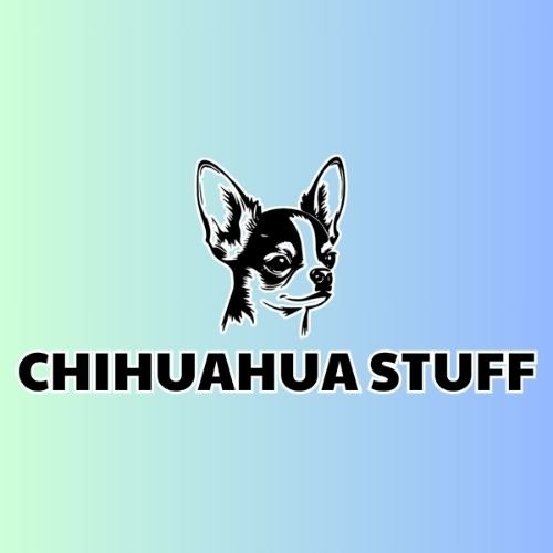 Chihuahua Stuff