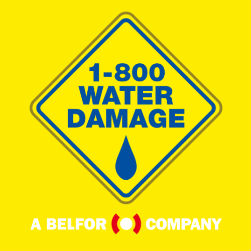 Water Damage of NE Dallas & SE Collin