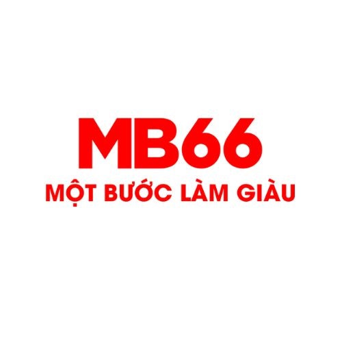 MB66 Feedback
