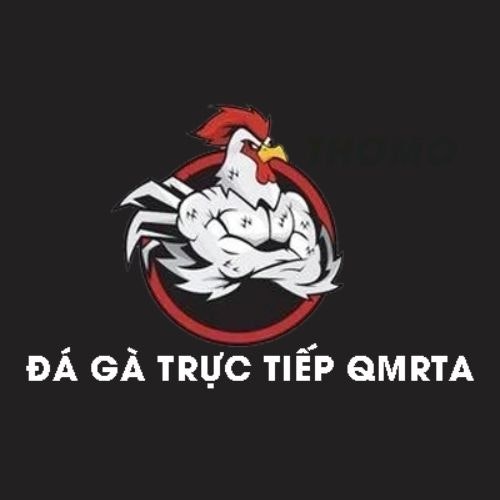 ĐÁ GÀ TRỰC TIẾP