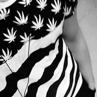 مہۣۚسہۣۚتقبہۣۚل- ضہۣۚآئہۣۚع لفتہۣۚى رآئہ