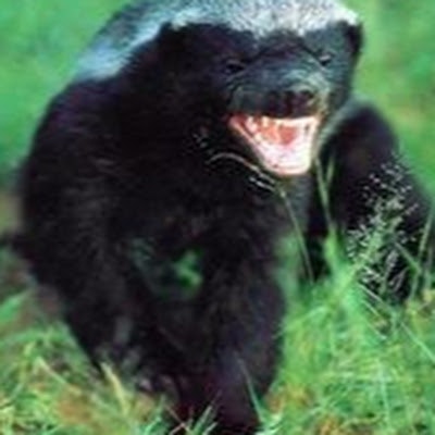 Rixar13 “Rixar13”