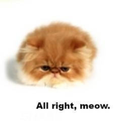 Meow what?