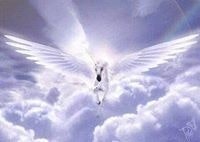 Vulcho Velikov Valkov