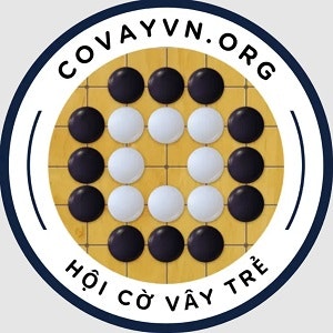 Covayvn org