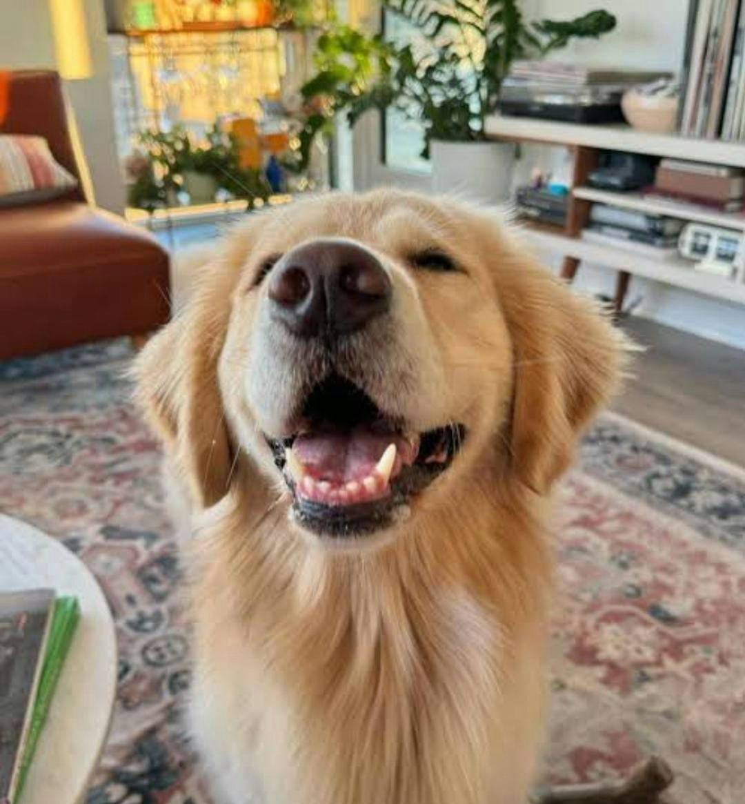 Nilanjana Chatterjee