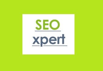 SEO Expert
