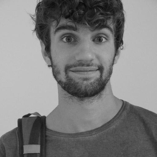 Massimiliano Bolognesi