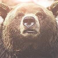 Новиков Сергей