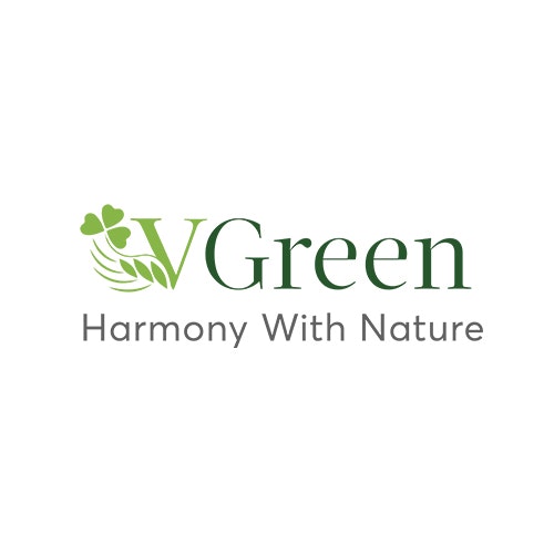 Kombucha Vgreen