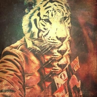 ∅∤hɐπi⊄l ☈⊄y⊄≹