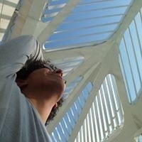 Matheus Cardoso Reges