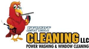 Expert Cleaning
