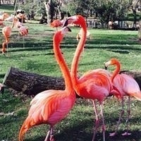 Carlos Corredor Touchard