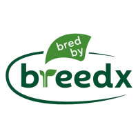 BreedX | Specialty Vegetable Seed