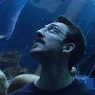 Henrique Geremia Nievinski