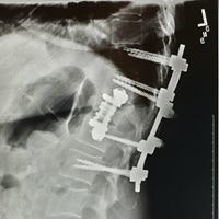 Shannon Elizabeth Reese