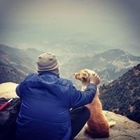 अमित गुप्ता