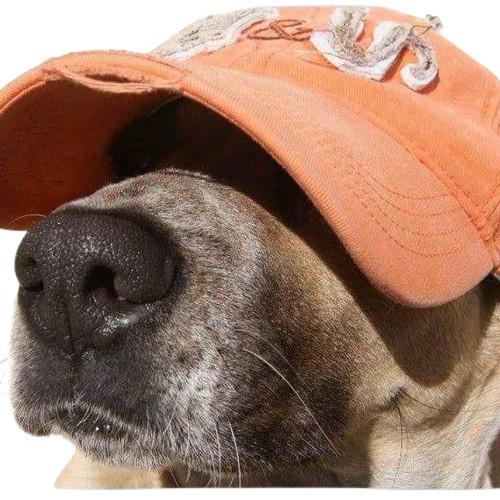 Roberto Garcia Benitez