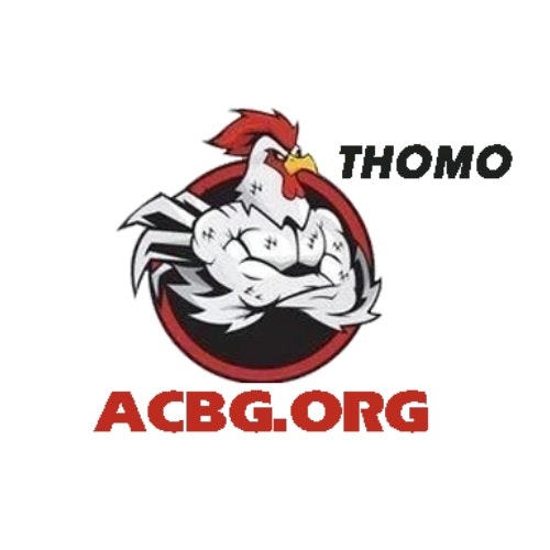 Đá Gà Trực Tiếp