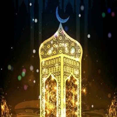 عايدة عايدة