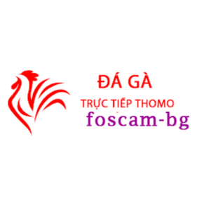 Đá Gà Trực Tiếp Thomo Hôm Nay