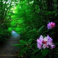 Алина Белякова