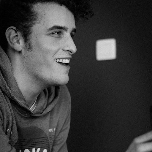 steije hillewaert 🌐