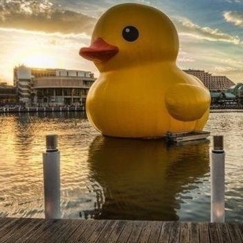 Sir Potato Duck