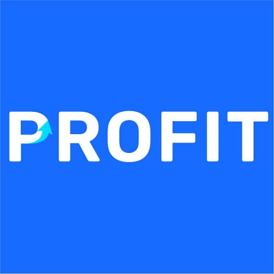 Profit Net Capital