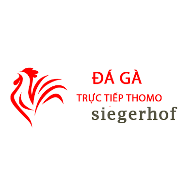 Đá Gà Trực Tiếp Thomo Hôm Nay